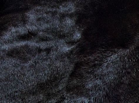 panther fabric metal|black panther fur print.